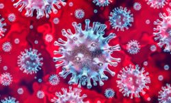 Coronavírus: por quê, para quê?